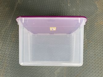 Clear Storage Bin with Purple Lid