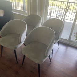 Dinning Chairs 