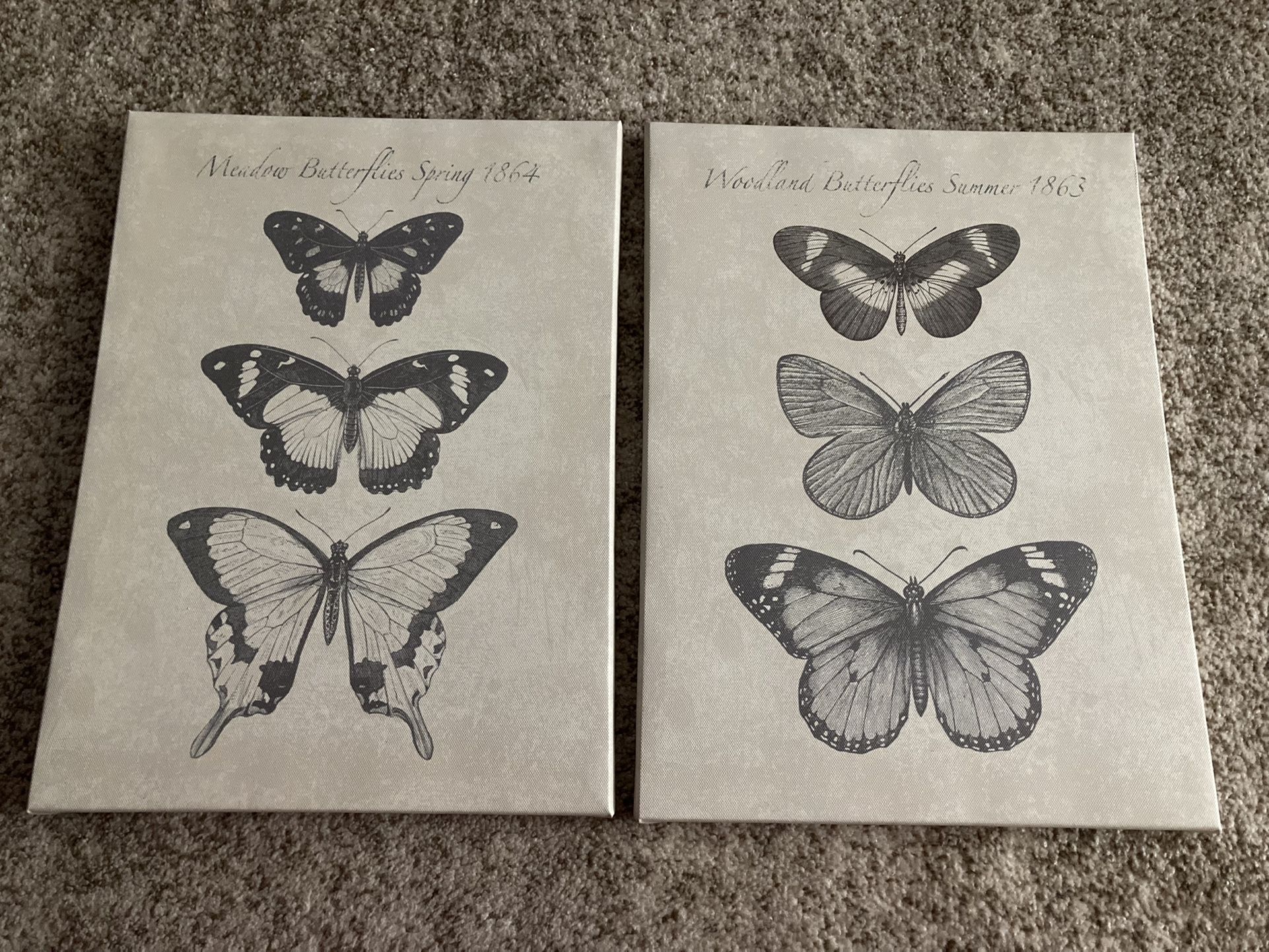 Two Butterfly Paintings