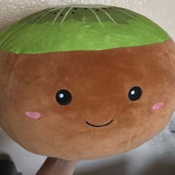 Kiwi Plusie