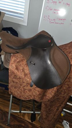 16.5 adjustable English saddle