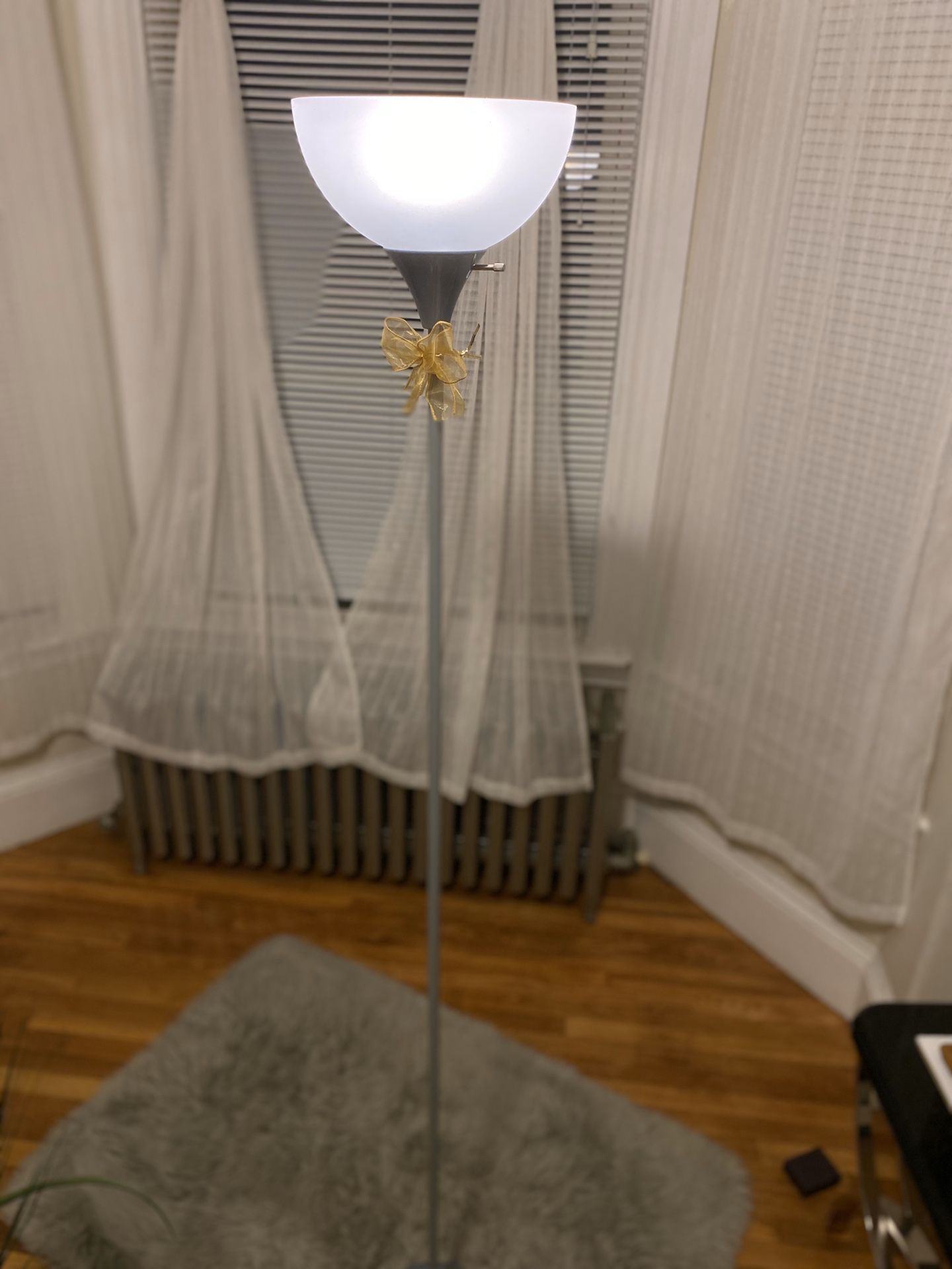 Floor Lamp + Present Decorative Plant