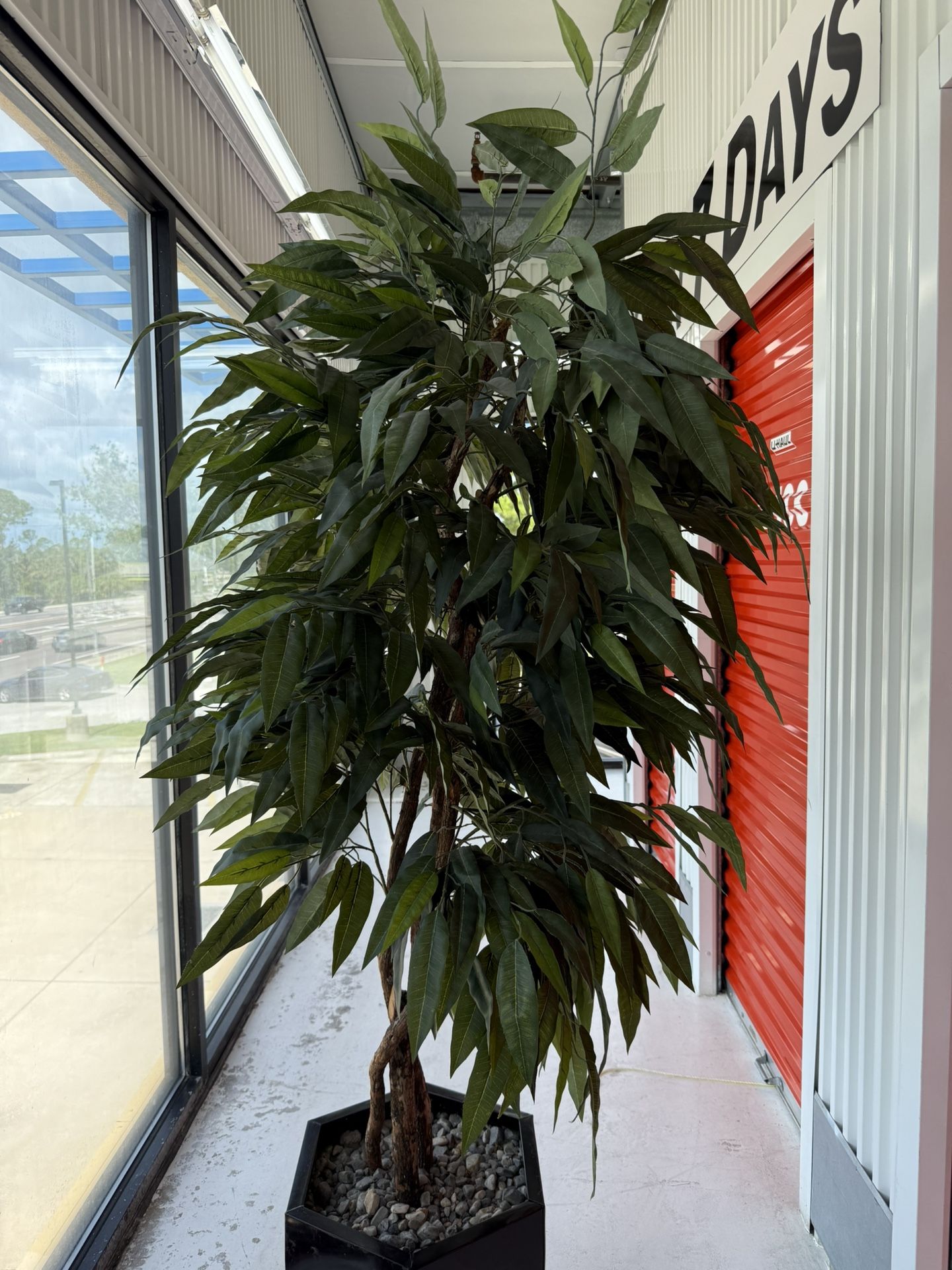 Fake Plant 6feet Tall