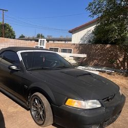 Mustang Gt 