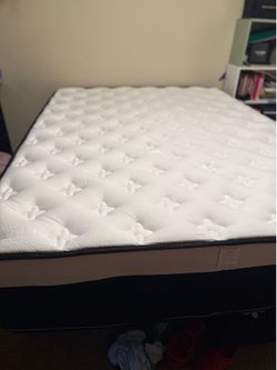 Queen 14” Pillow Top Mattress - Great Condition