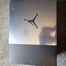 Jordan 6 "Chrome" SIZE 10.5
