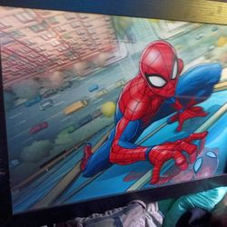Spiderman 3-D Pocture