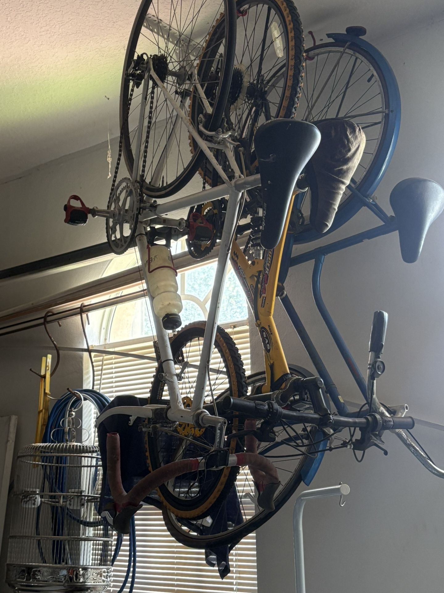 Bicycles 3