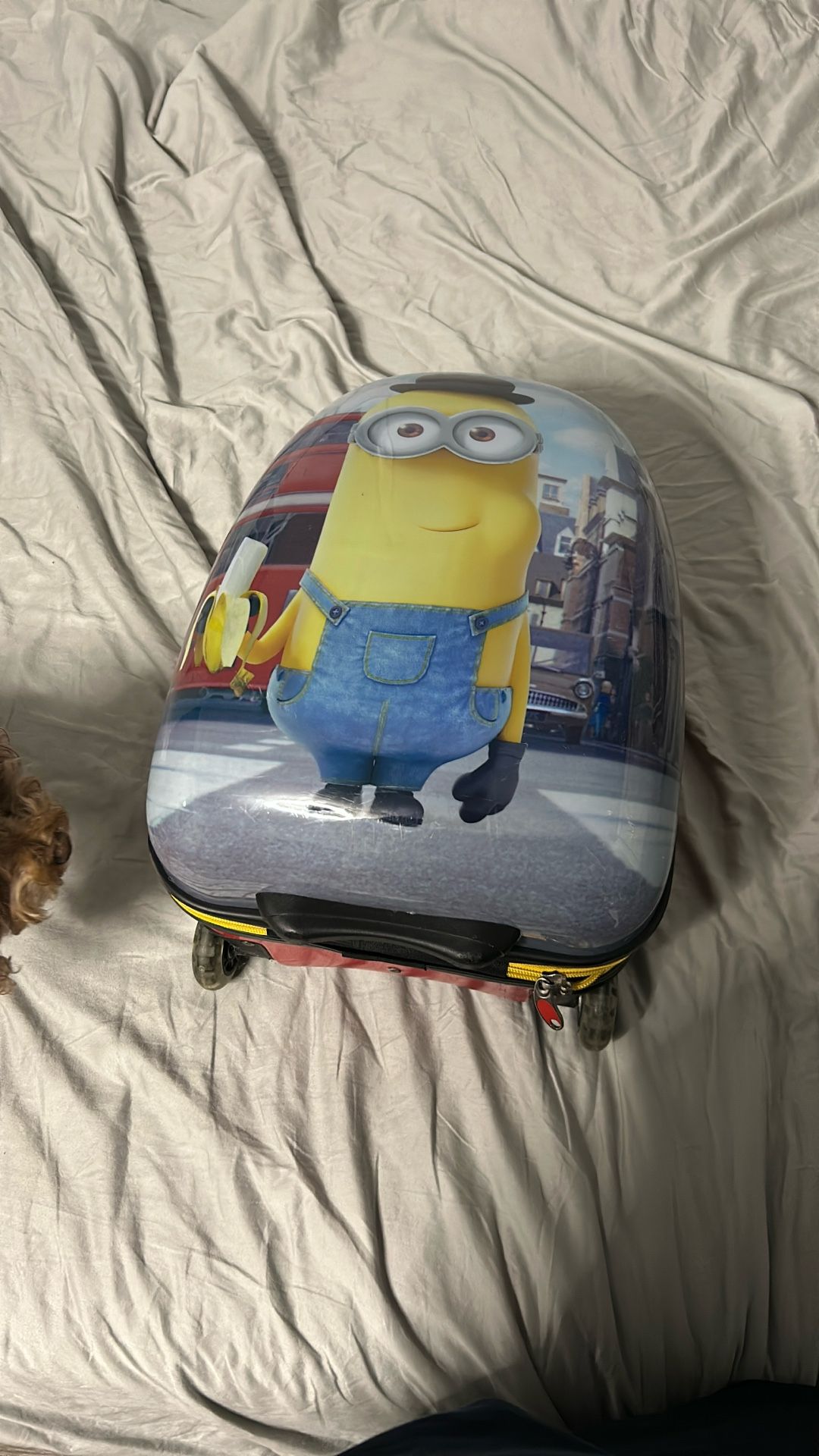 Suitcase With Minions On It