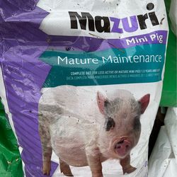 Mazuri pig