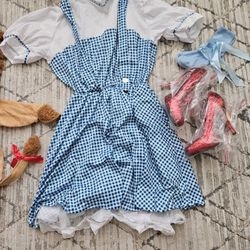  Dorothy Costume 