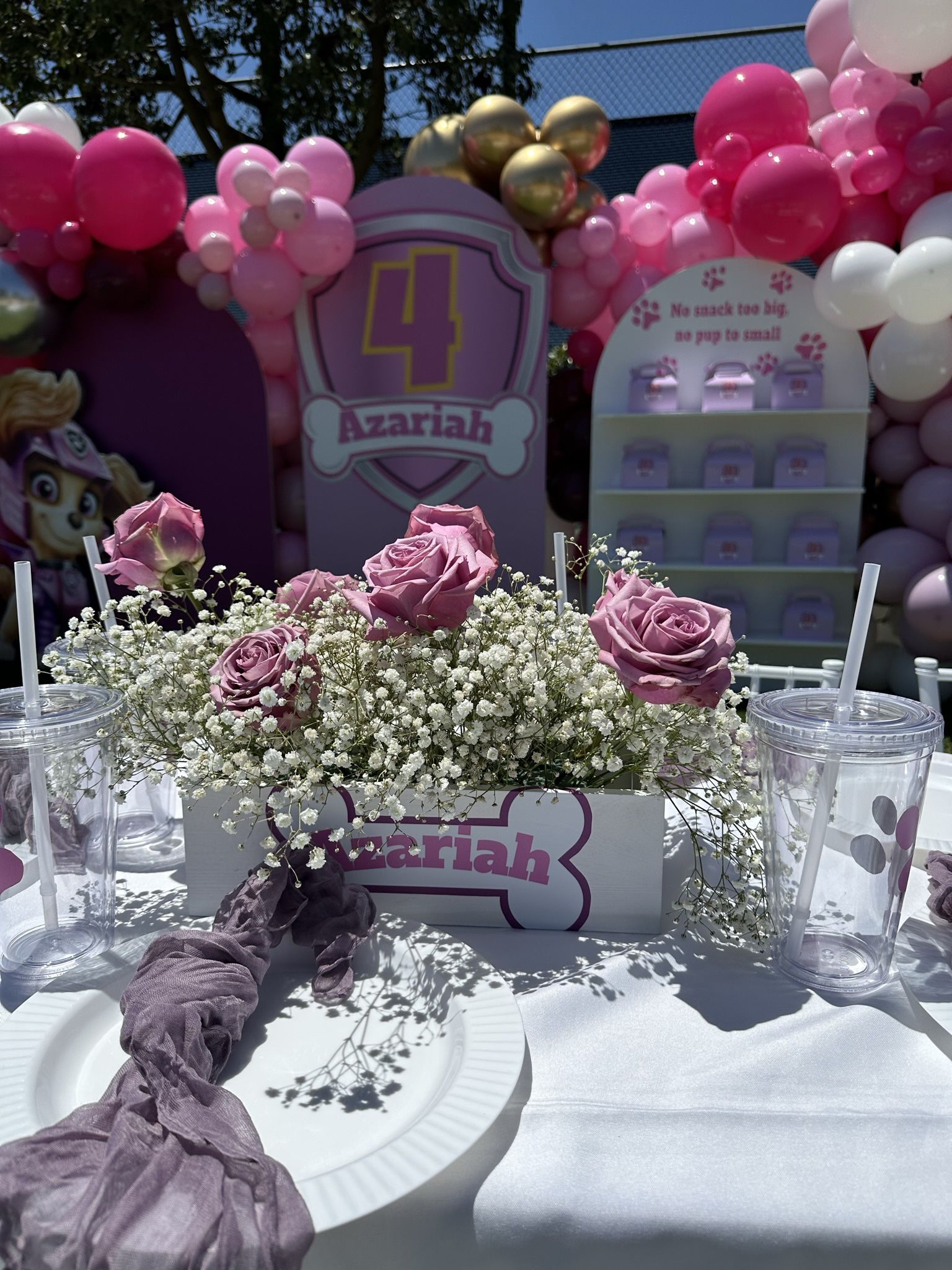 Paw Patrol Decorations