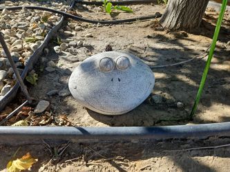 Buried Frog Garden Stone Decoration