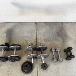 Various weights of dumbbells for strength training.