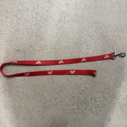 Nike SB dog leash