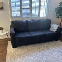 Great Couch That Pulls Out Into A Bed! 