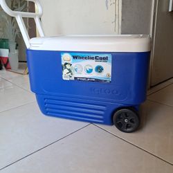 Cooler 