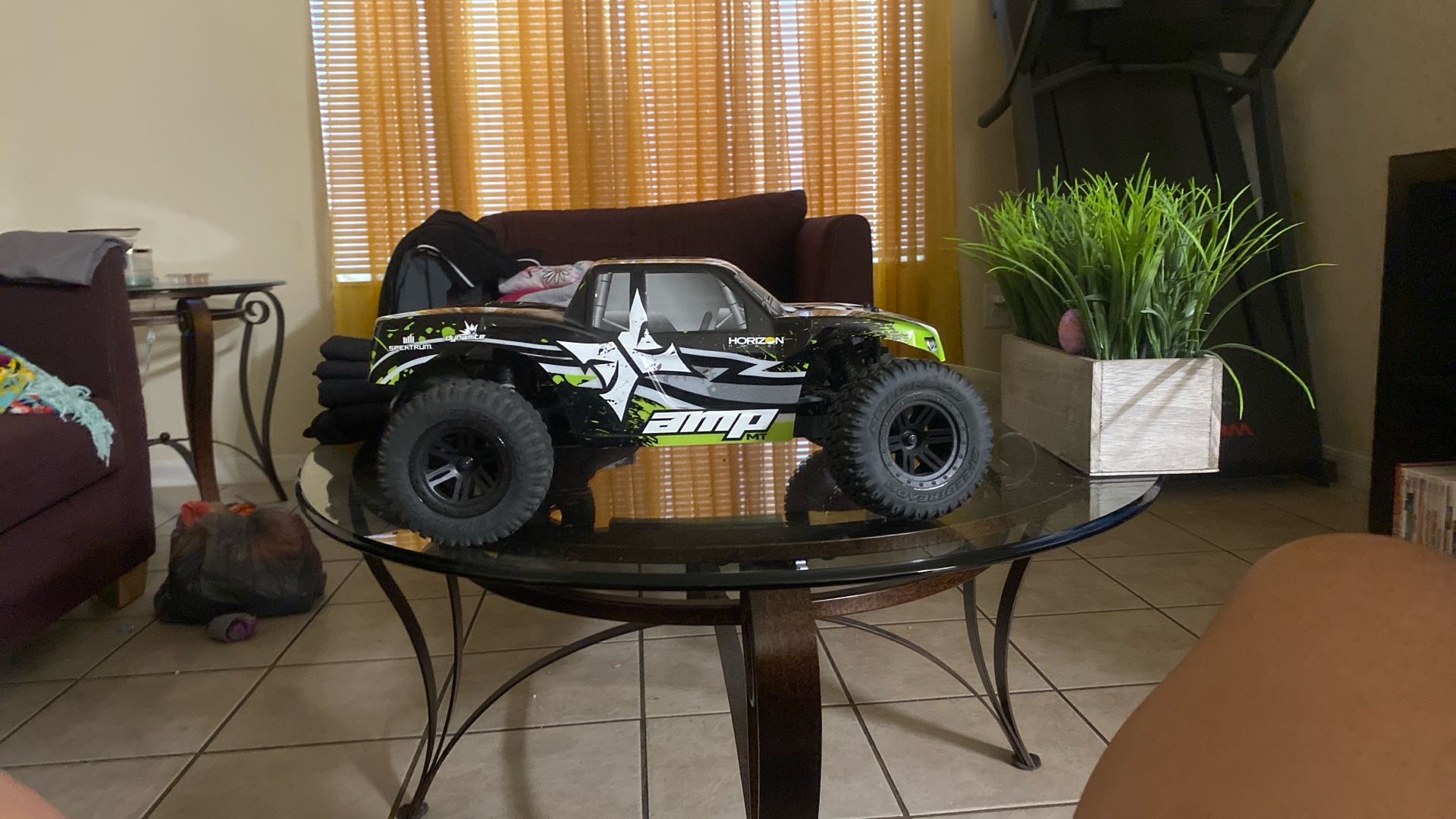 Horizon Hobby Amp
