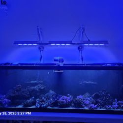 Aquarium 72x18x22 