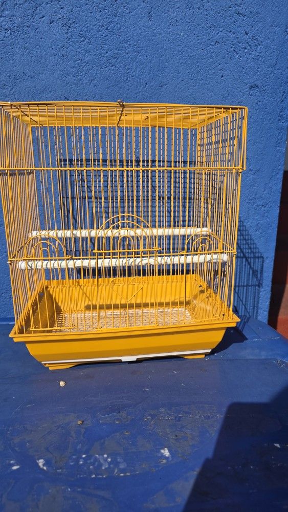 Bird Cage
