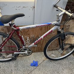 Mountain Bike