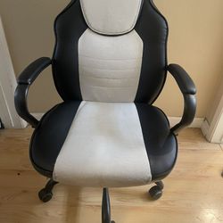 Computer/Gaming Chair