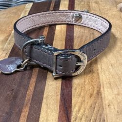 Y2K Used Dog Collar