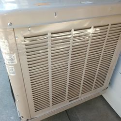 Swamp Cooler Champion 