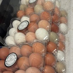 ****Fresh Eggs****