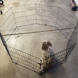 Dog Kennel 