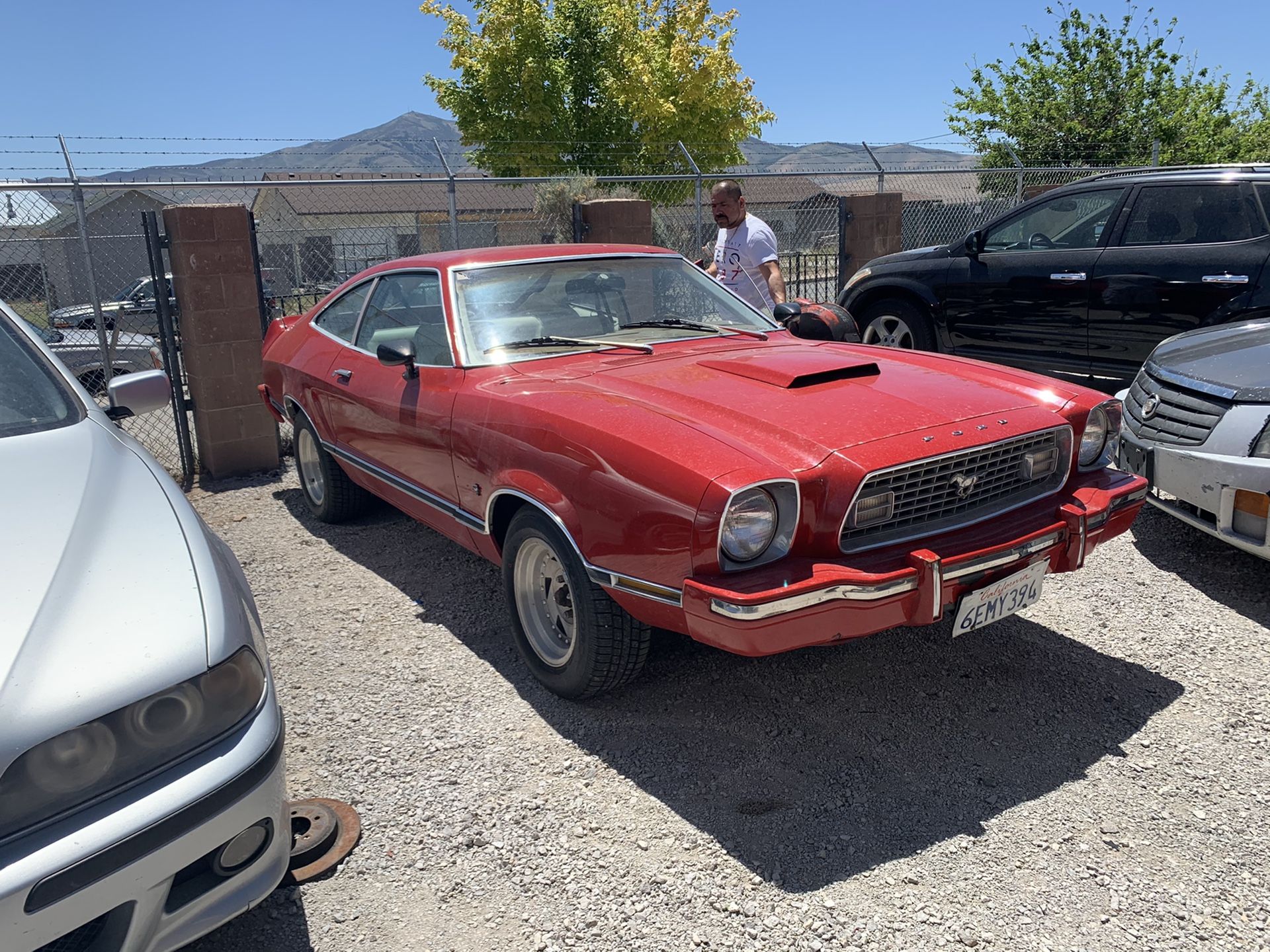 1974 mustang