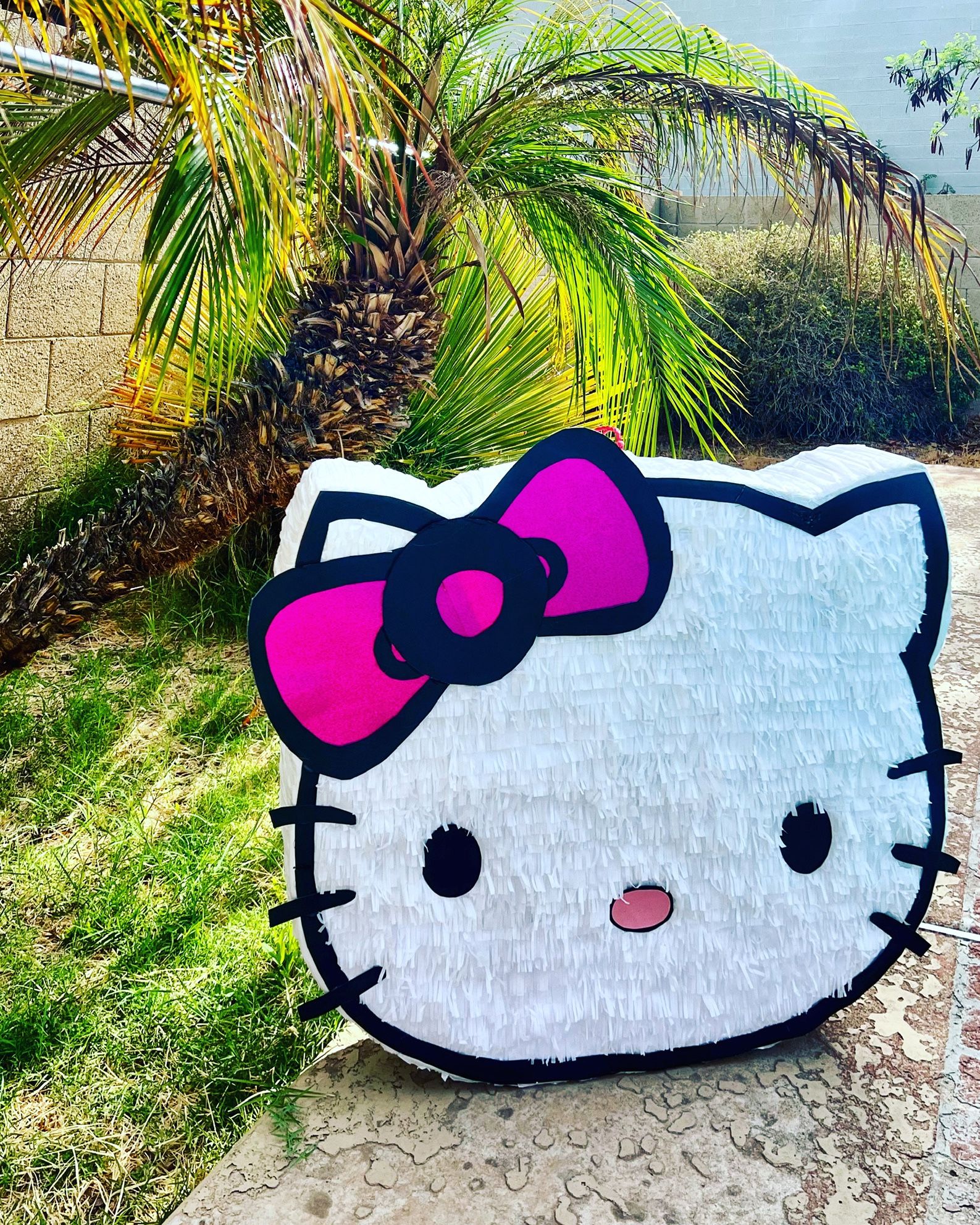 Custom Made Piñatas - Hello Kitty , LILO Stitch, Elsa, Frozen, Monster Truck