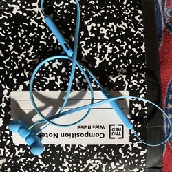 Beats Flex Wireless Earphones With Charger 