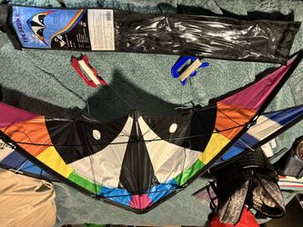 Skunk 48" Sport Kite. 