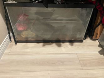 Front opening 40 gallon reptile tank