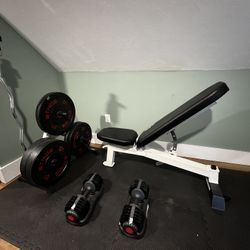 Gym Equipment