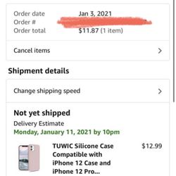 Light Pink Iphone 12 / 12 Pro Case