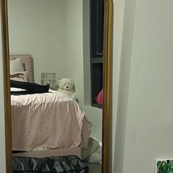 Parisian Luxury Floor Wall Mirror