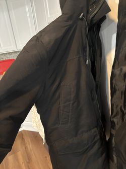 Canada Goose