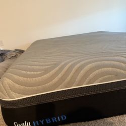 Queen Sealy Mattress