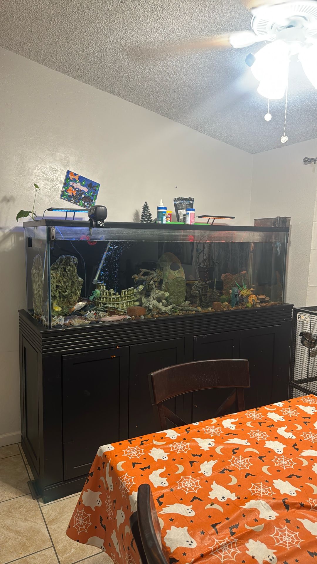 Fish Tank 180 Gallon