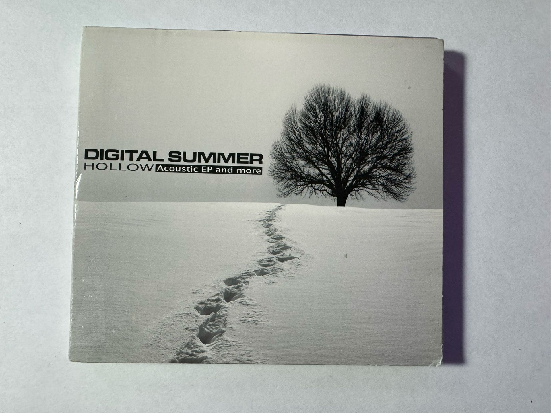 DIGITAL SUMMER - Hollow - CD/DVD ** Exc Cond ** - RARE Alt Rock - SIGNED