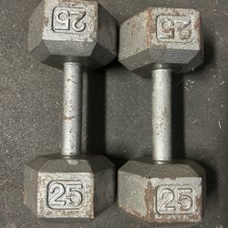 Pair Of 25lbs Hex Dumbbells 