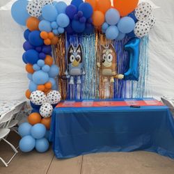 Party Decoracitions