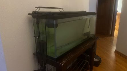 55 gallon tank with filter