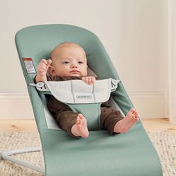Sage Baby Bjorn Bouncer And Toy 