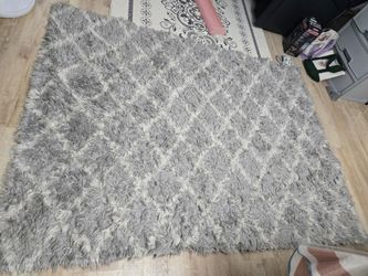 Carpet Gray Color