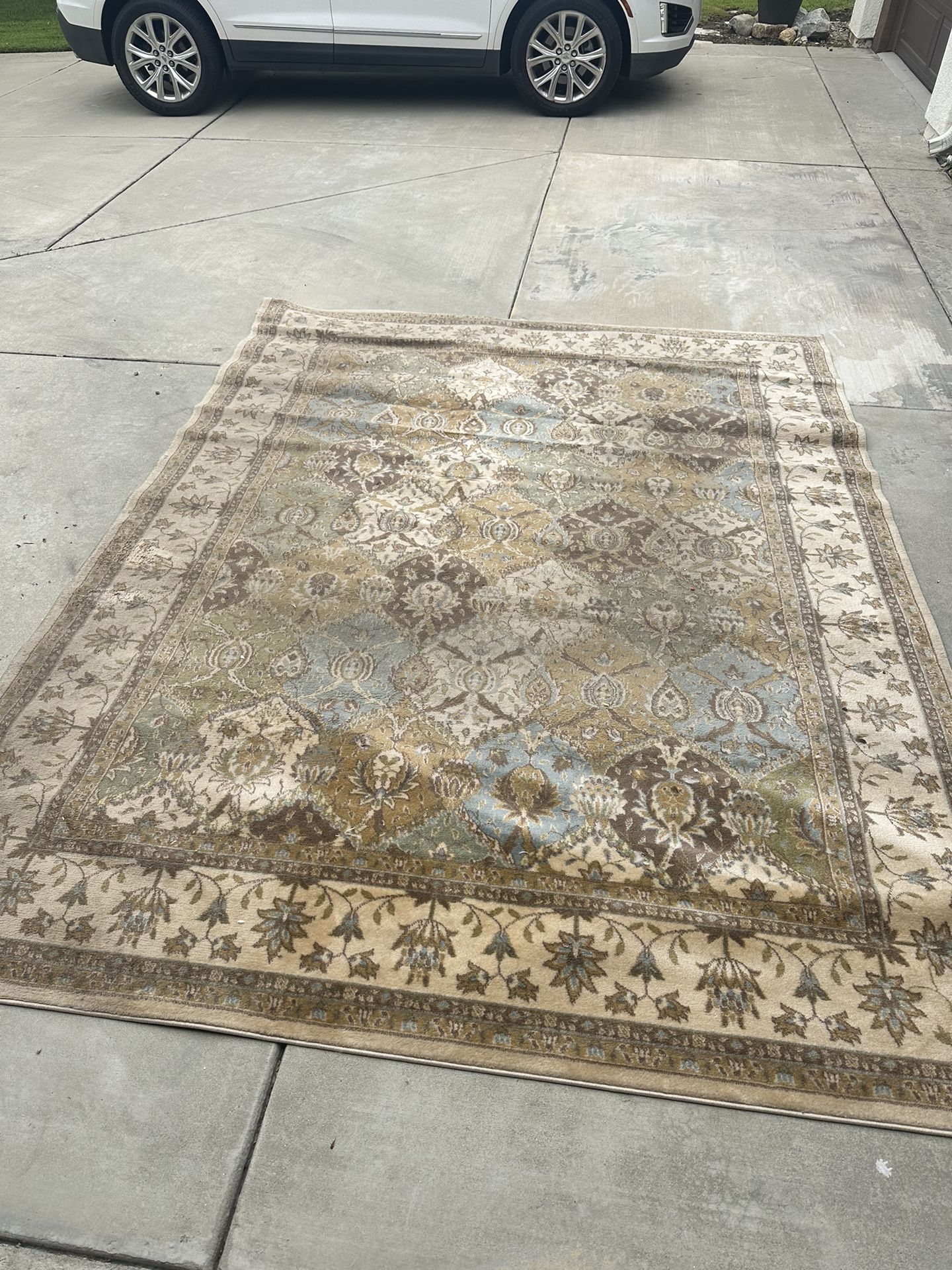 Large Area Rug