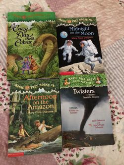 Magic tree house book lot