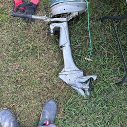 Evinrude Motor 